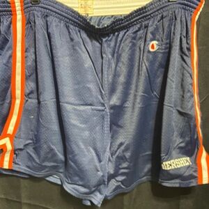Vintage Champion Hershey Mesh Shorts